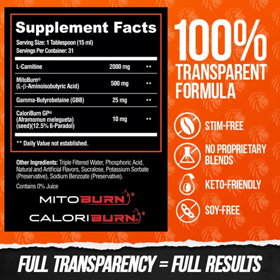 Burn20 31 Servings Fiery Punch - New Heights Supplements