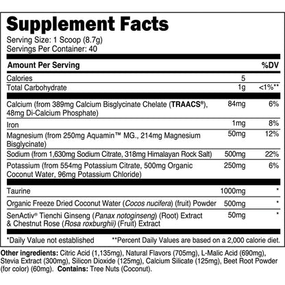 Hydrate 40 Servings - New Heights Supplements