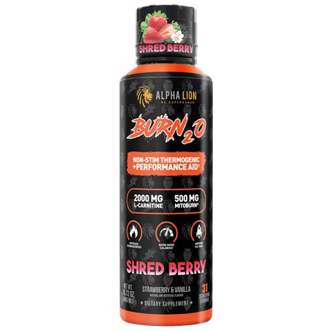 Burn20 31 Servings Shred Berry